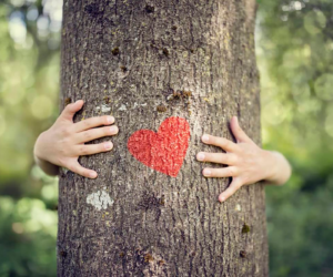 Concurso «Soy un Árbol»