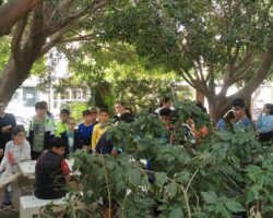 Visita del alumnado de CEIP Diego Velázquez