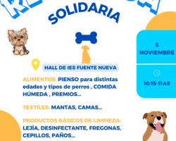 5 de noviembre, Recogida Solidaria