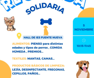 5 de noviembre, Recogida Solidaria